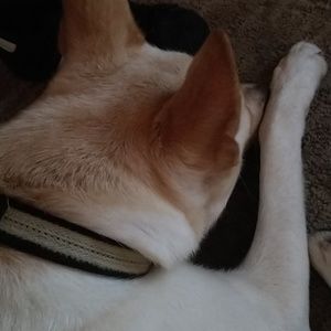 Meet your Posher, Matt